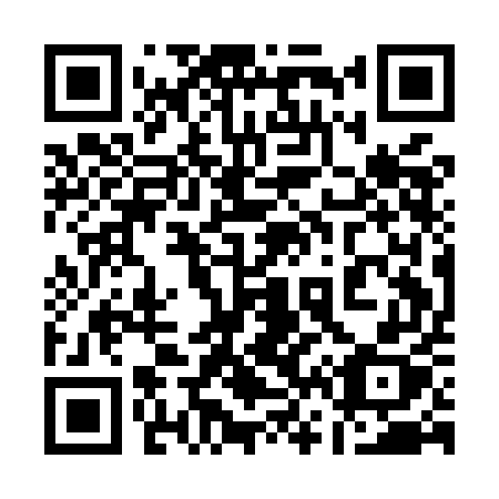 QR code for 161-MEX