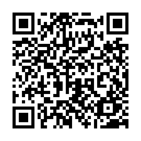 QR code for 161-NZT