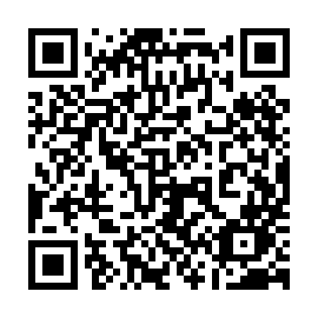 QR code for 161-PMN