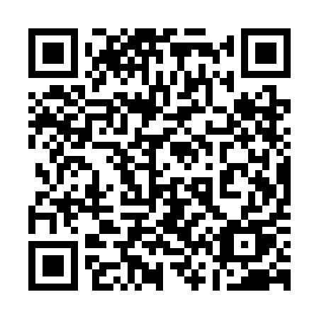 QR code for 161-SAU