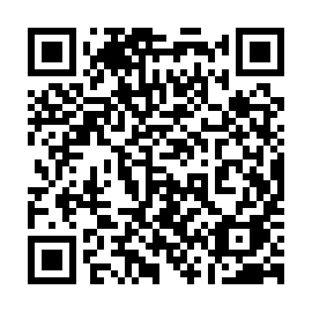QR code for plate 161-QYA