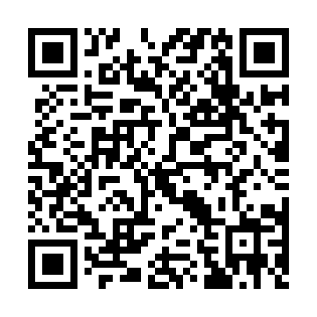 QR code for 161YIZ