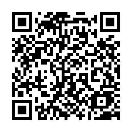 QR code for plate 163-MOE