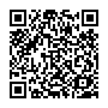 QR code for plate 195-DGM