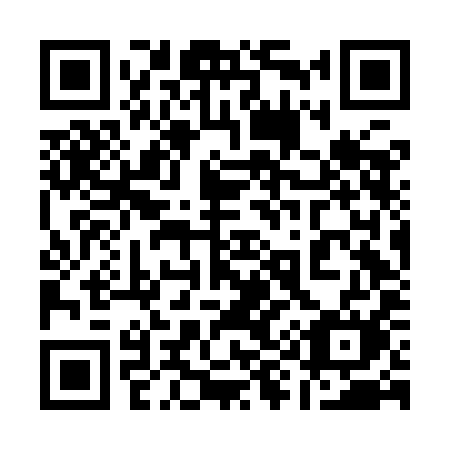 QR code for plate 196-IIM