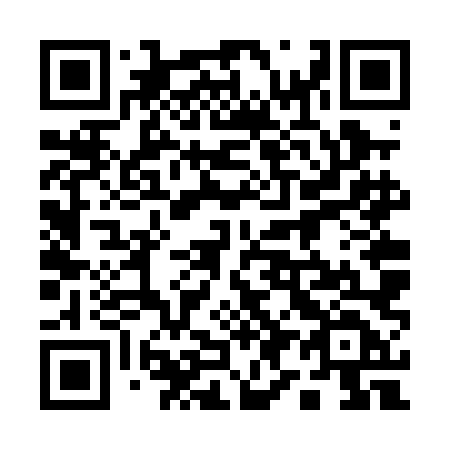 QR code for 196PLD