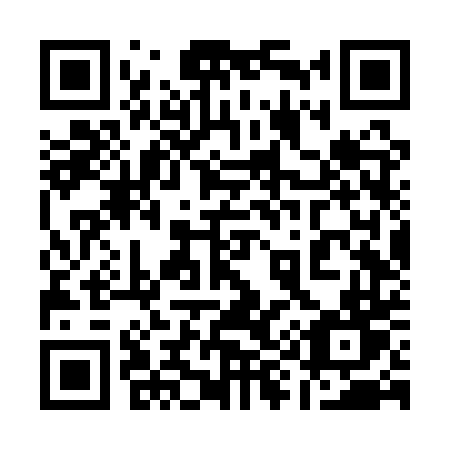 QR code for plate 196-QTT