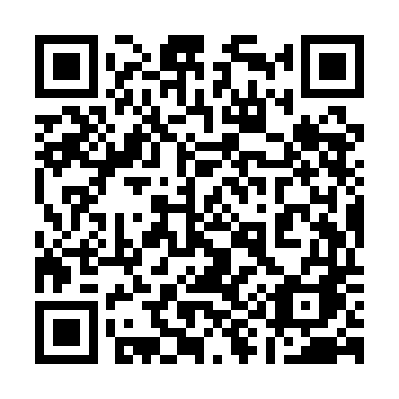 QR code for plate 199-QDA