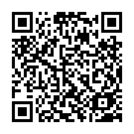 QR code for plate 199-SAE