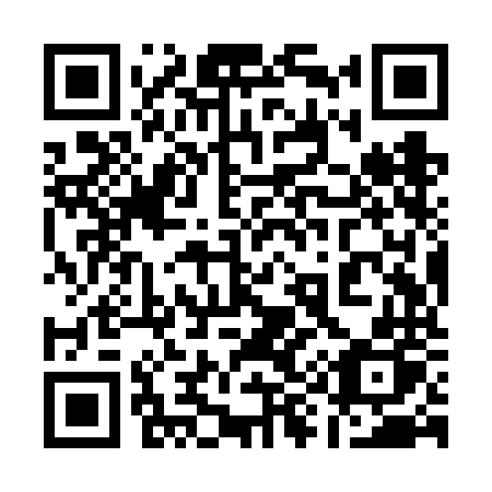 QR code for plate 199-VNP
