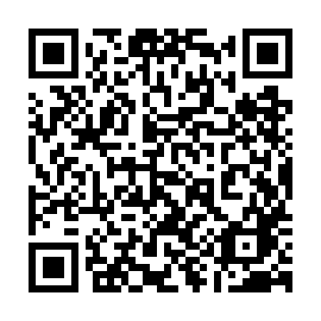 QR code for plate 199-WHC