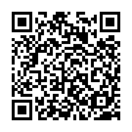 QR code for plate 1B9-5I5