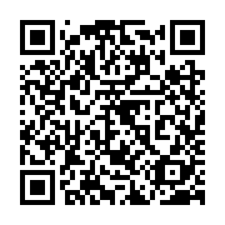 QR code for plate 1E3-3Z8