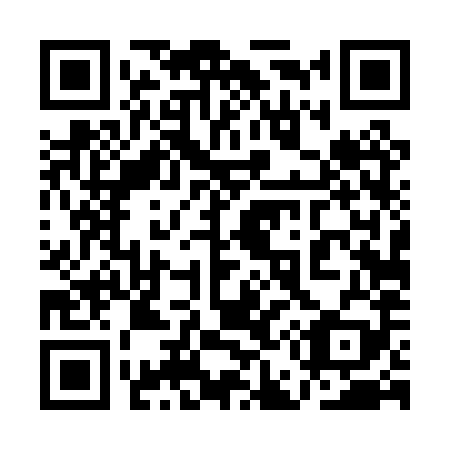 QR code for plate 1E4-0X9