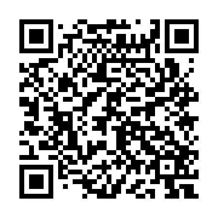 QR code for plate 1G1-3P6