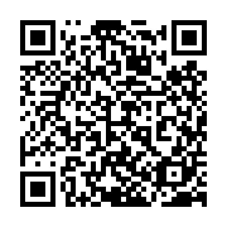 QR code for plate 1H9-4P0