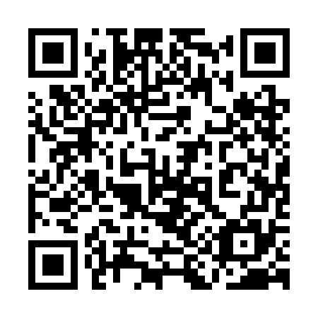 QR code for plate 1I1-3G5