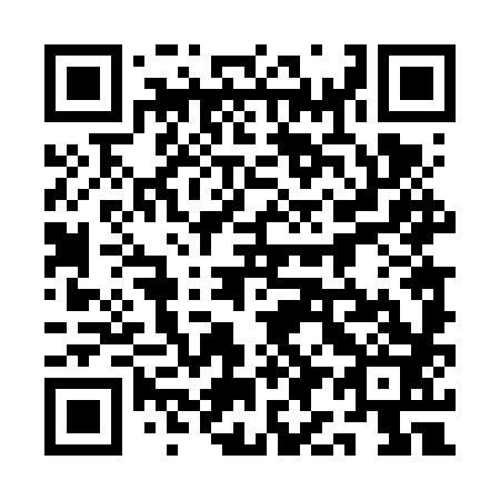 QR code for plate 1I4-6X3