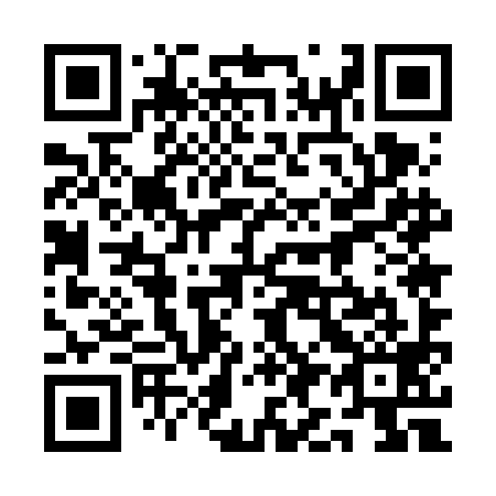 QR code for plate 1I5-6I9