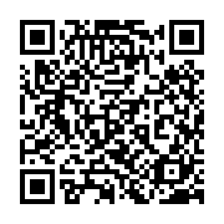 QR code for plate 1I9-0R0