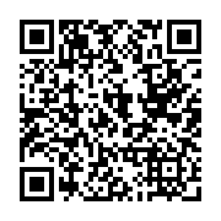 QR code for plate 1I9-1X9
