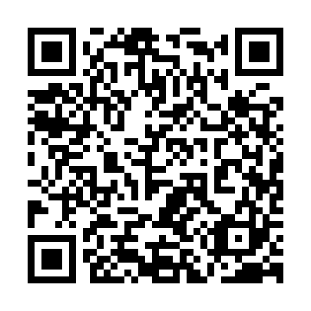 QR code for plate 1M1-9R3