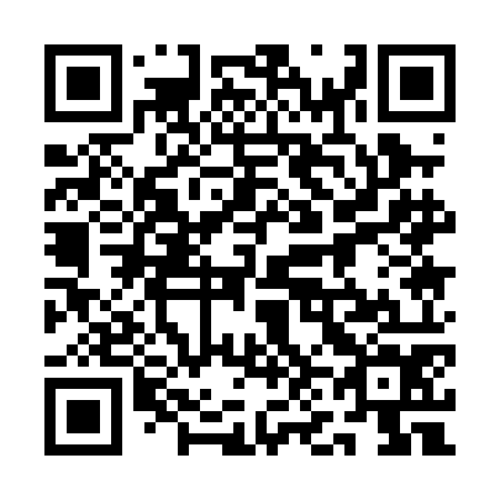 QR code for plate 1N1-0O4