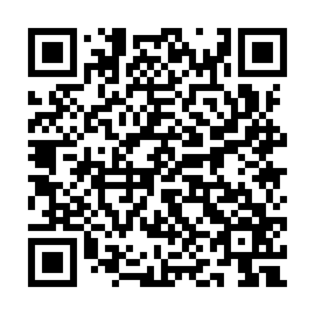 QR code for plate 1N1-9V6