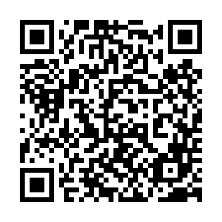 QR code for plate 1N3-4T6