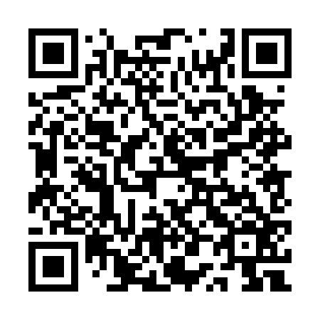 QR code for plate 1P0-0Z6