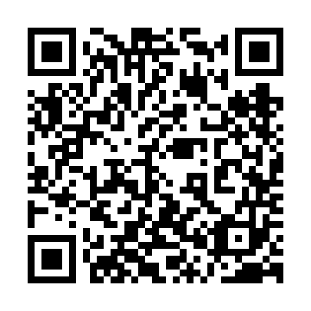 QR code for 1P3-6O3