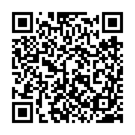 QR code for plate 1R3-6V3