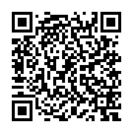 QR code for plate 1S3-5N8