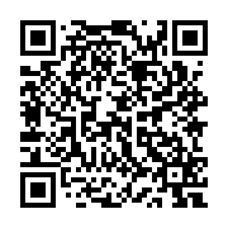 QR code for plate 1S9-1Z5