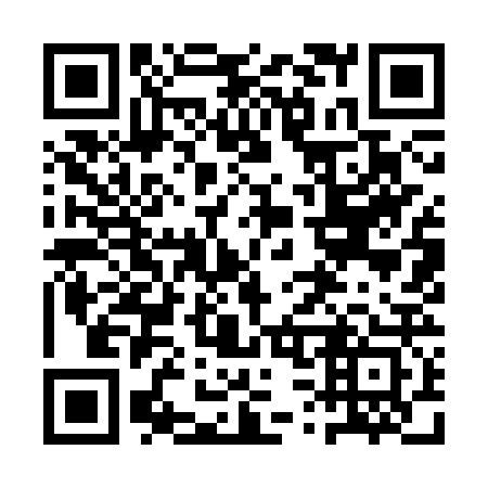 QR code for plate 1S9-3R3