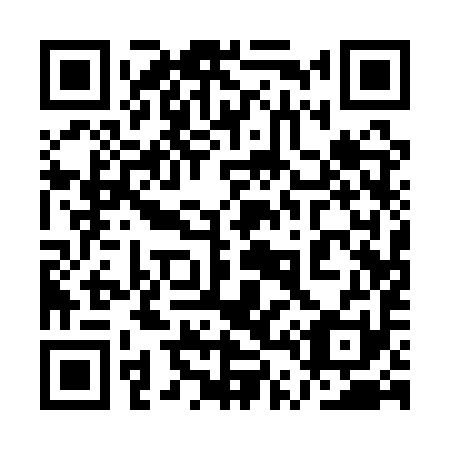 QR code for plate 1T1-1Y1