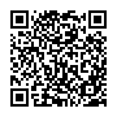 QR code for plate 1V1-1N6