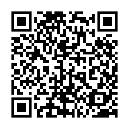 QR code for plate 1V1-8J8