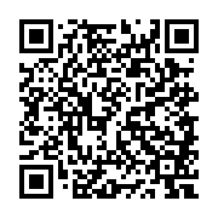 QR code for plate 1V4-0L4
