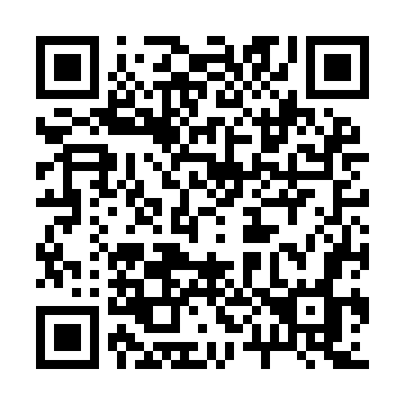 QR code for 206-IGO