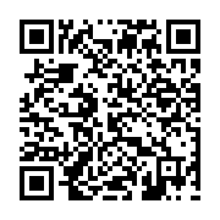 QR code for 206-QZT