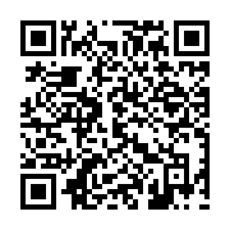 QR code for plate 206-INO