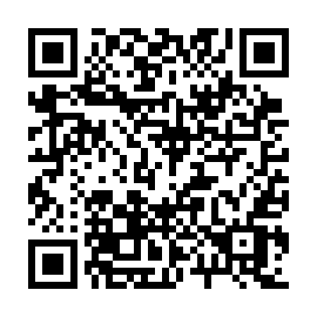 QR code for 206SEV