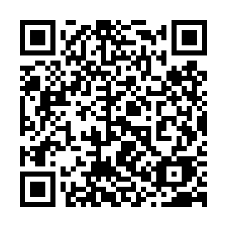QR code for 207-TSE