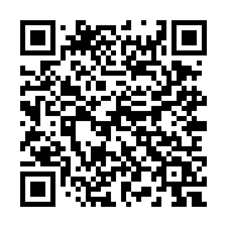 QR code for 208-TNT