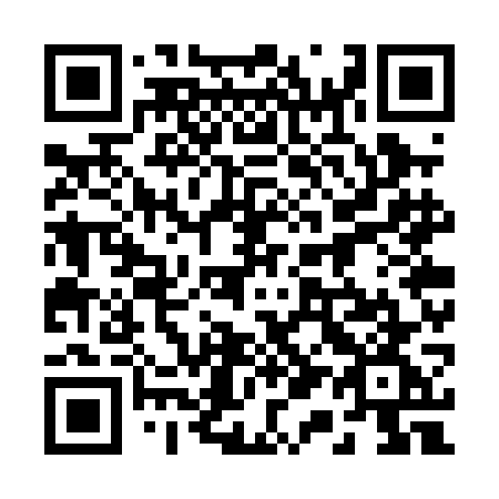 QR code for 217-PGG