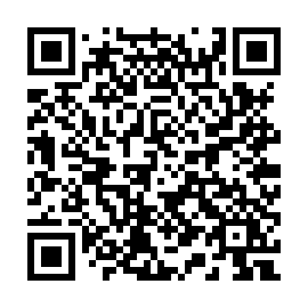 QR code for plate 217-XTY