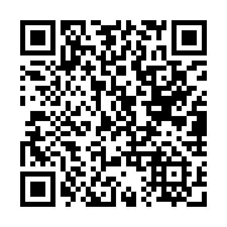 QR code for plate 217-YSI