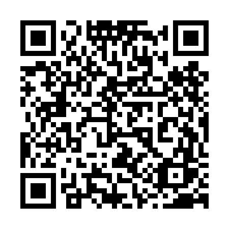 QR code for 219-DFS