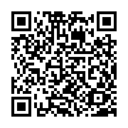QR code for 219-SYZ